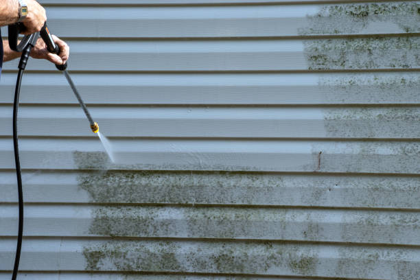 Best Residential Junk Removal  in Vevay, IN