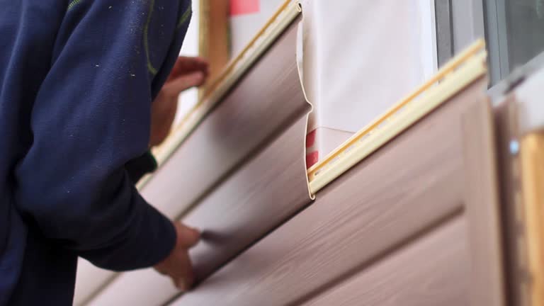 Best Dumpster Rental Services  in Vevay, IN